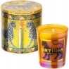 Ortigia Macchiamare Oro - Candela 80 gr