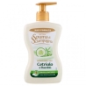Spuma Di Sciampagna Cetriolo E Bambù - Sapone Mani e Viso 430 ml