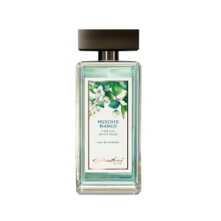 Gandini Muschio Bianco 100ML