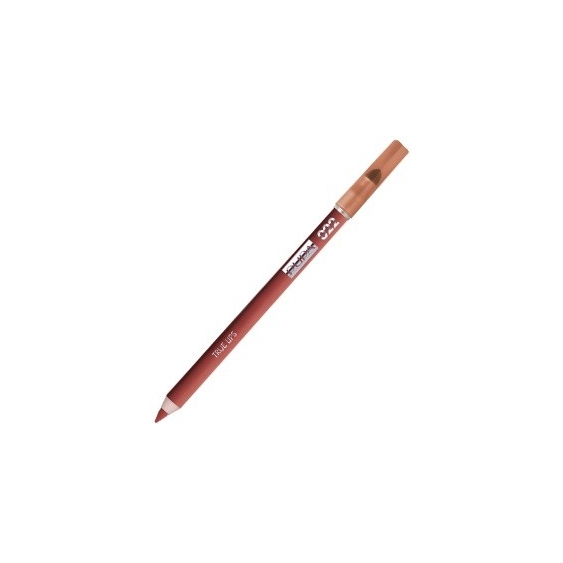 Pupa True Lips - 22 Plum Brown