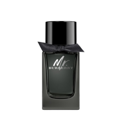 Burberry Mr. Burberry Eau de Parfum 100ML