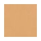 Elizabeth Arden Flawless Finish Perfectly Nude Makeup SPF 15 - Golden Nude