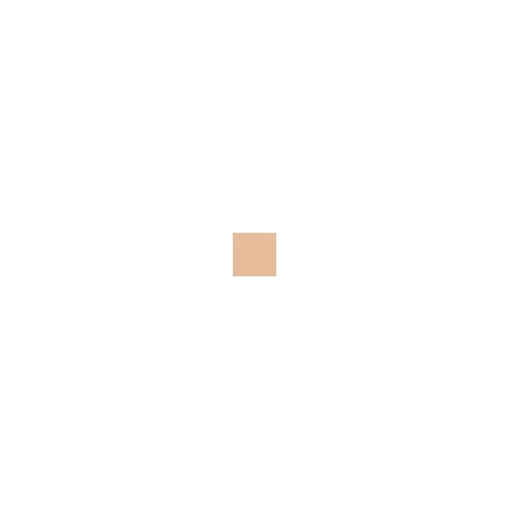 Elizabeth Arden Flawless Finish Perfectly Nude Makeup SPF 15 - Beige