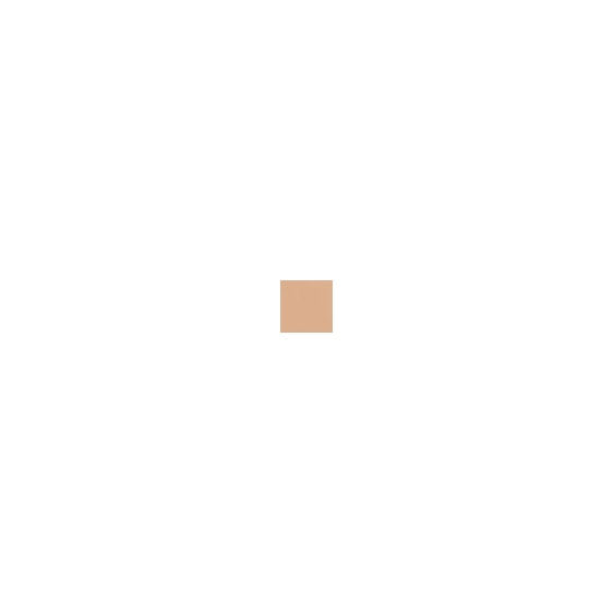 Elizabeth Arden Flawless Finish Perfectly Nude Makeup SPF 15 - Bisque