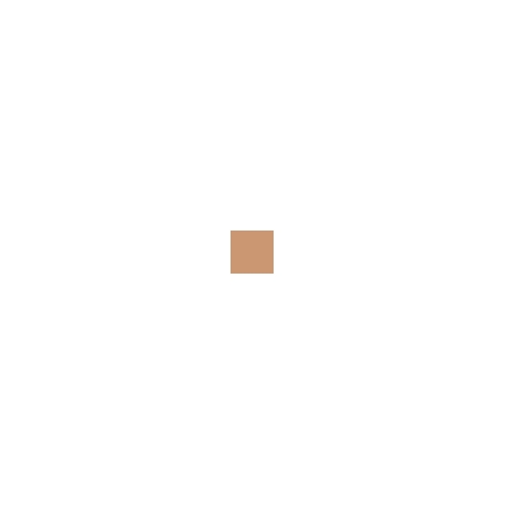 Elizabeth Arden Pure Finish Mineral Powder Foundation SPF 20 - 05