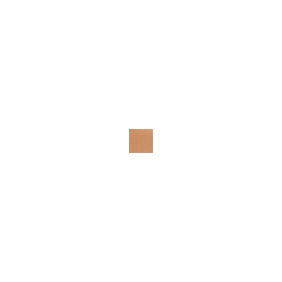 Flawless Finish Perfectly Satin 24HR Makeup SPF 15 - Toasty Beige
