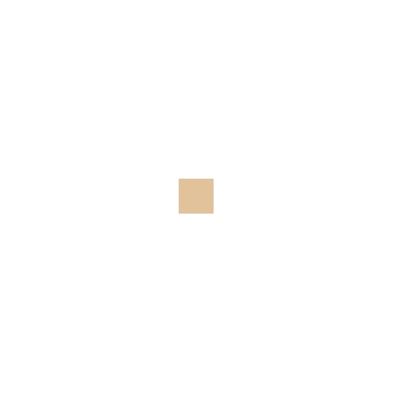 Clarins Everlasting Compact Foundation