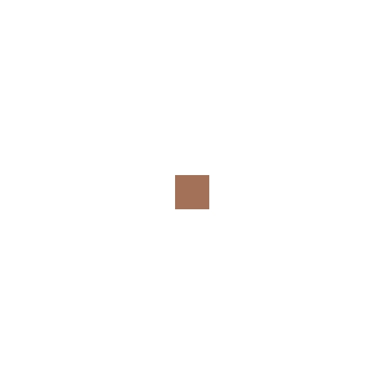 Clarins Everlasting Compact Foundation