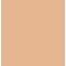 Clarins Everlasting Cushion Foundation+