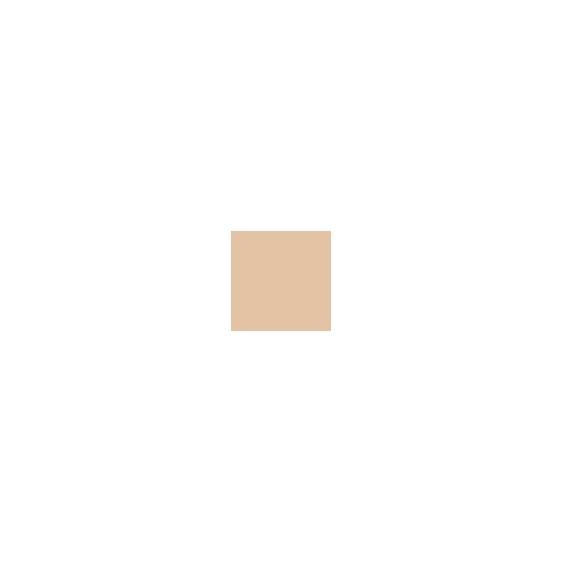 Shiseido Future Solution LX Total Radiance Foundation SPF20