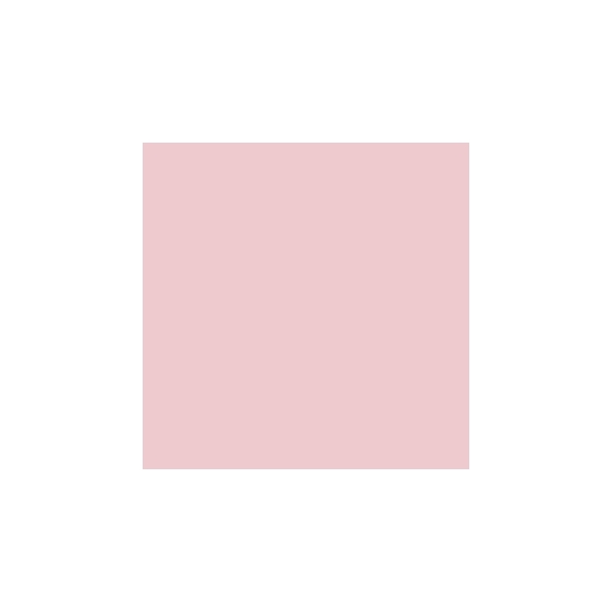 Lancome Le Vernis - 301 Flaneuse