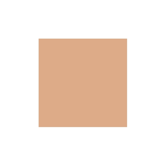 Estee Lauder Double Wear Stay-in-Place Powder Makeup SPF 10