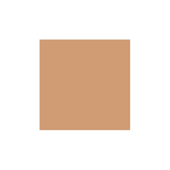 Estee Lauder Double Wear Stay-in-Place Powder Makeup SPF 10