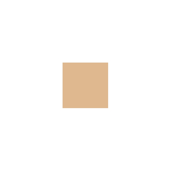 Estee Lauder Double Wear Maximum Cover Camouflage SPF 15