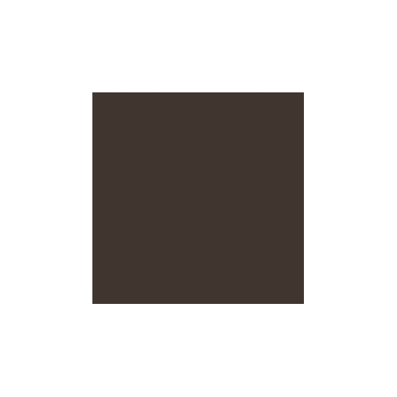 Pupa Eyebrow Intense Powder - 003 Dark Brown