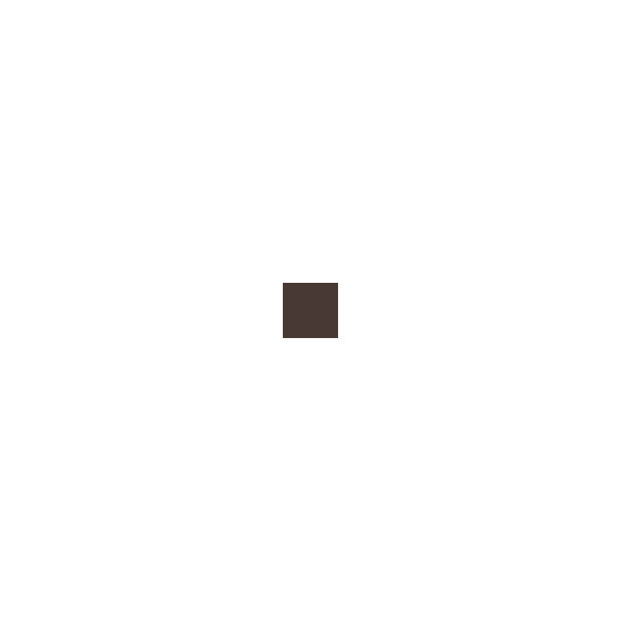 Shiseido MicroLiner Ink - 02 Brown