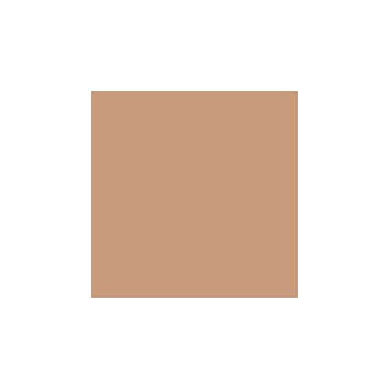 Pupa Beauty Touch Fondotinta Stick - 050 Golden Beige