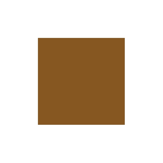 Sisley Tinted Moisturizer with Botanical Extracts - 4 Beige Ambre
