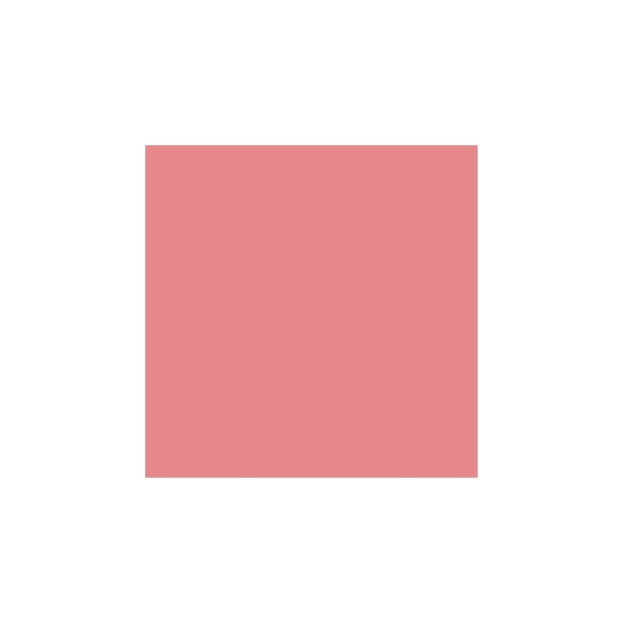 Lancome Blush Subtil - 541