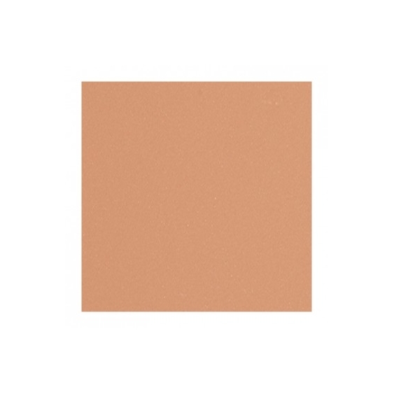 Shiseido Suncare Sports BB Compact SPF 50+