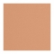 Shiseido Suncare Sports BB Compact SPF 50+