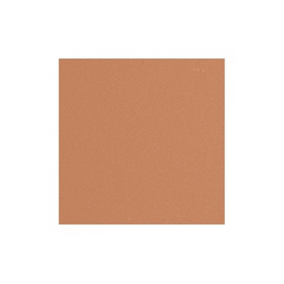 Shiseido Suncare Sports BB Compact SPF 50+ - Medium Dark