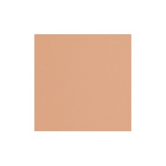 Shiseido Suncare Sports BB Compact SPF 50+ - Very Dark