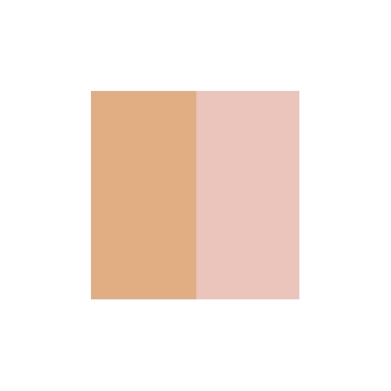 Estee Lauder Double Wear Instant Fix Concealer - 2C Light Medium