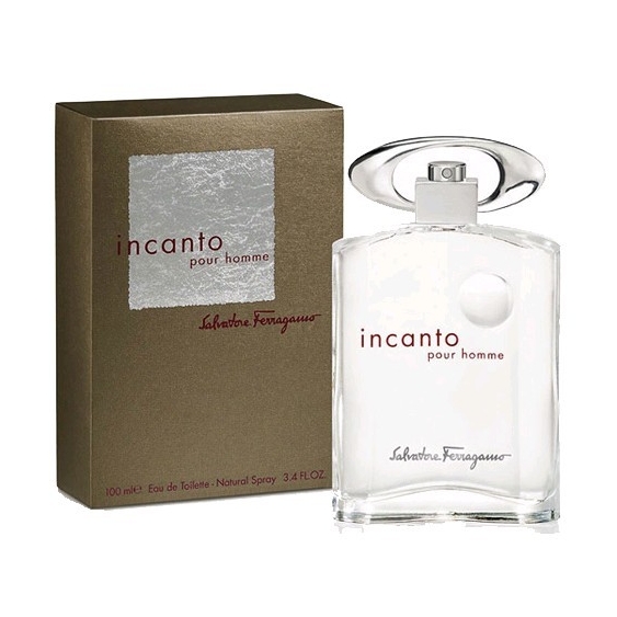 Salvatore Ferragamo Incanto Pour Homme 100ML