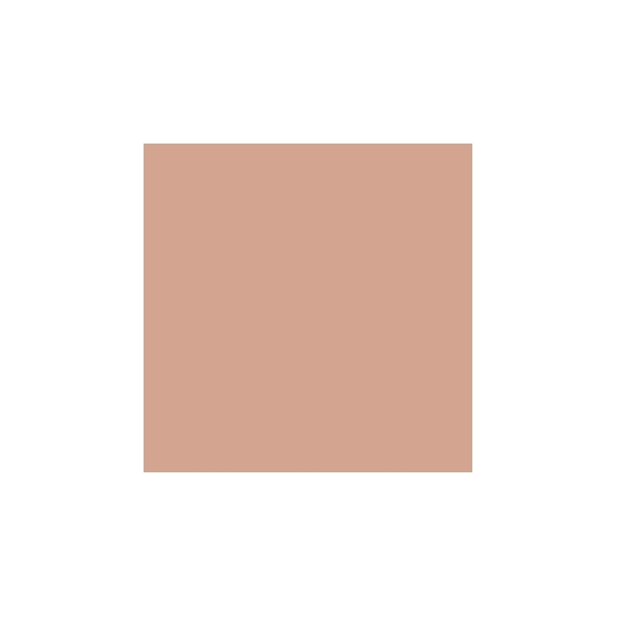 Mesauda Cover Stick Foundation - 604 Fudge