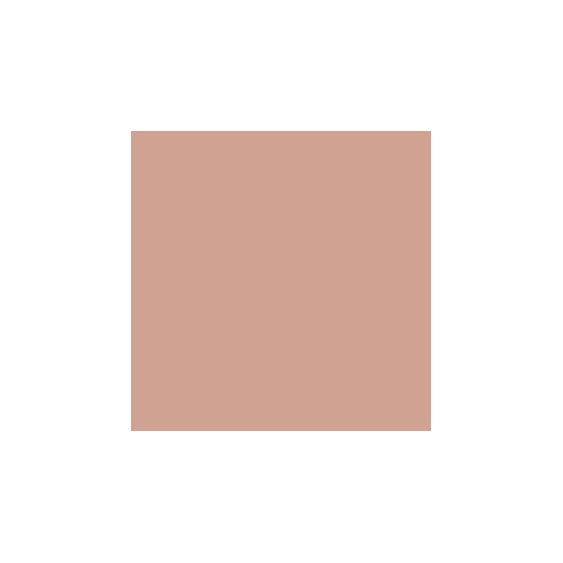 Mesauda Cover Stick Foundation - 606 Cinnamon