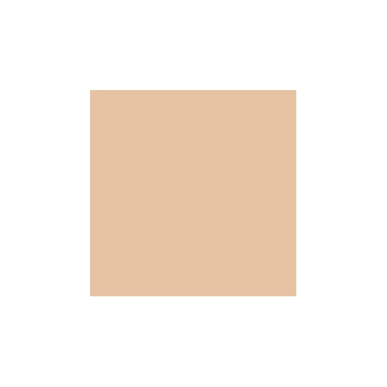Mesauda Perfect Skin Foundation - 102 Ivory
