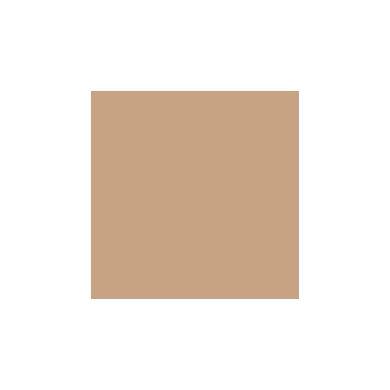 Mesauda Perfect Skin Foundation - 106 Amber