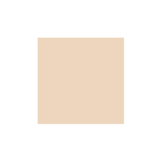 Mesauda Pro Light Concealer - 221C10