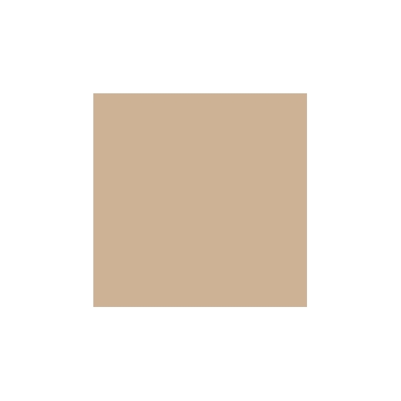 Mesauda Pro Light Concealer - 221C30