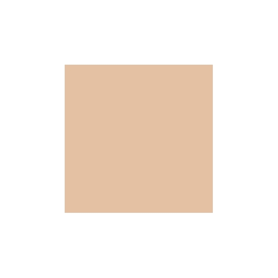 Mesauda Pro Light Concealer - 221N40