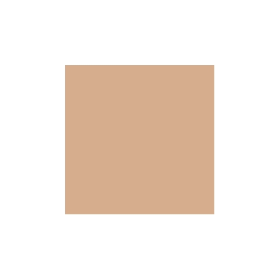 Mesauda Pro Light Concealer - 221W70