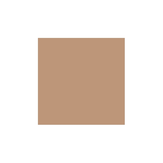 Mesauda Pro Light Concealer - 221N80