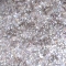 Mesauda Luxury Eyeshadow - 305 Smoky Quartz