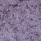 Mesauda Luxury Eyeshadow - 310 Amethyst