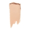 Shiseido Synchro Skin Gelstick Concealer - 202 Light