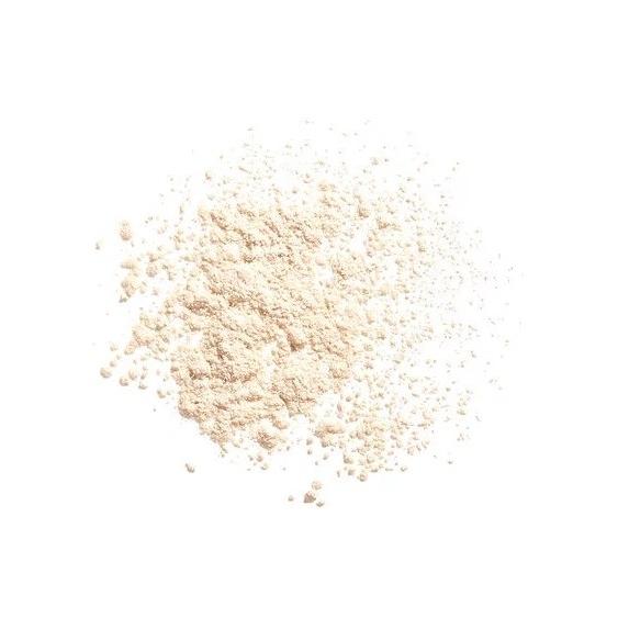 Shiseido Synchro Skin Invisible Silk Loose Powder - Matte