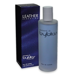 Byblos Elementi Uomo 120 ml | ProfumeriaWeb