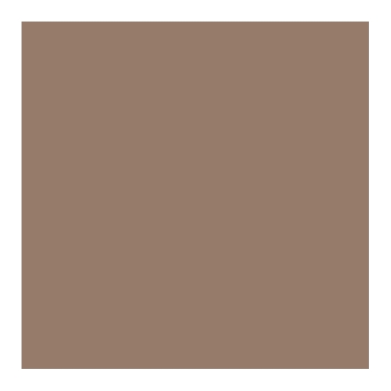 Sensai Colour Styling Eyebrow Pencil - 02 Warm Brown