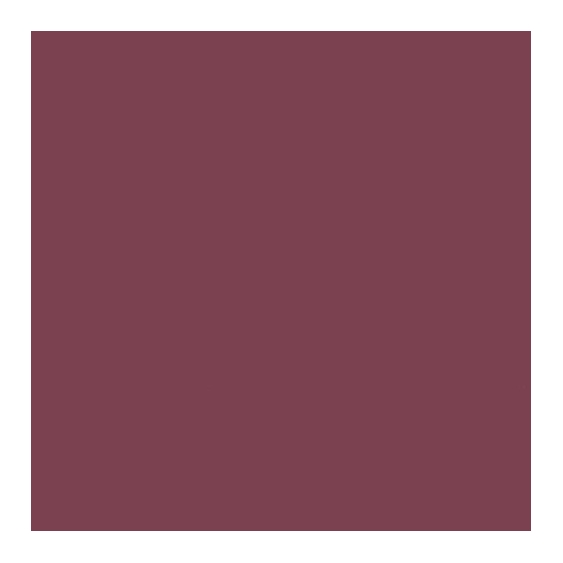 Yves Saint Laurent Vernis A Levres - 05 Rouge Vintage