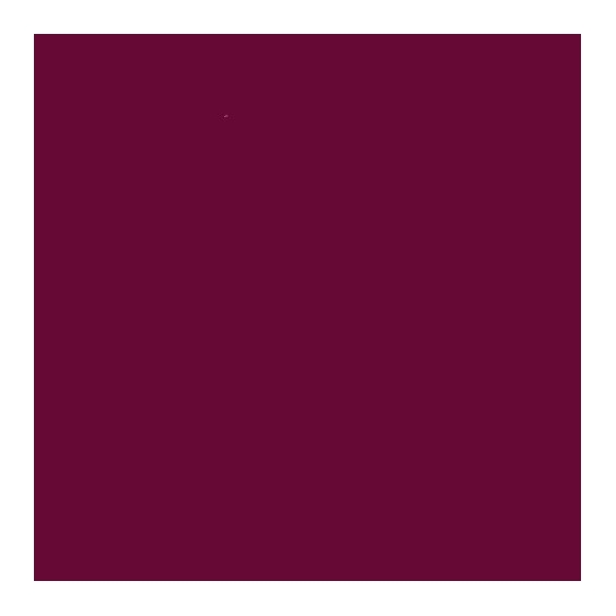 L'Oreal Paris Color Riche Rossetto - 374 Intense Plum