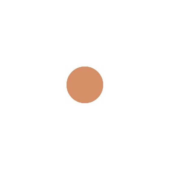 Arval Supreme Care Royal Gold Foundation SPF20 - 04 Biscotto