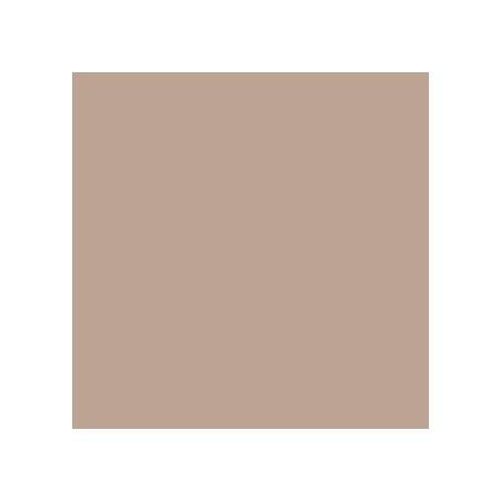 Mesauda Pro Light Concealer - W35
