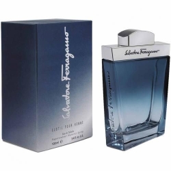 Salvatore Ferragamo Subtil Pour Homme 100ML