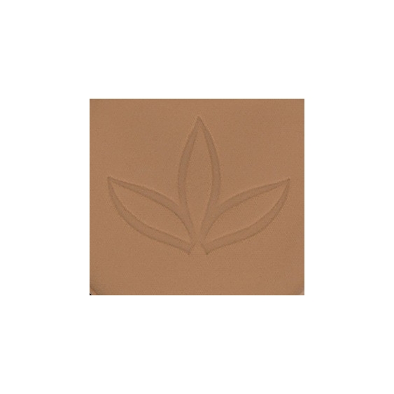 Euphidra Terra Mat - 04 India
